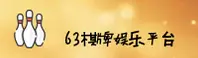 使用指南与常见问题